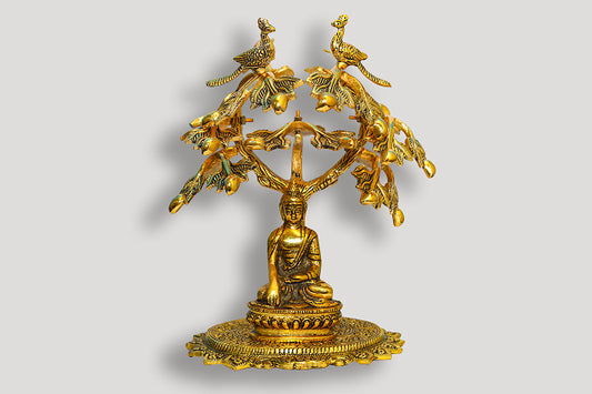 Buddha Idol Under peacock Tree